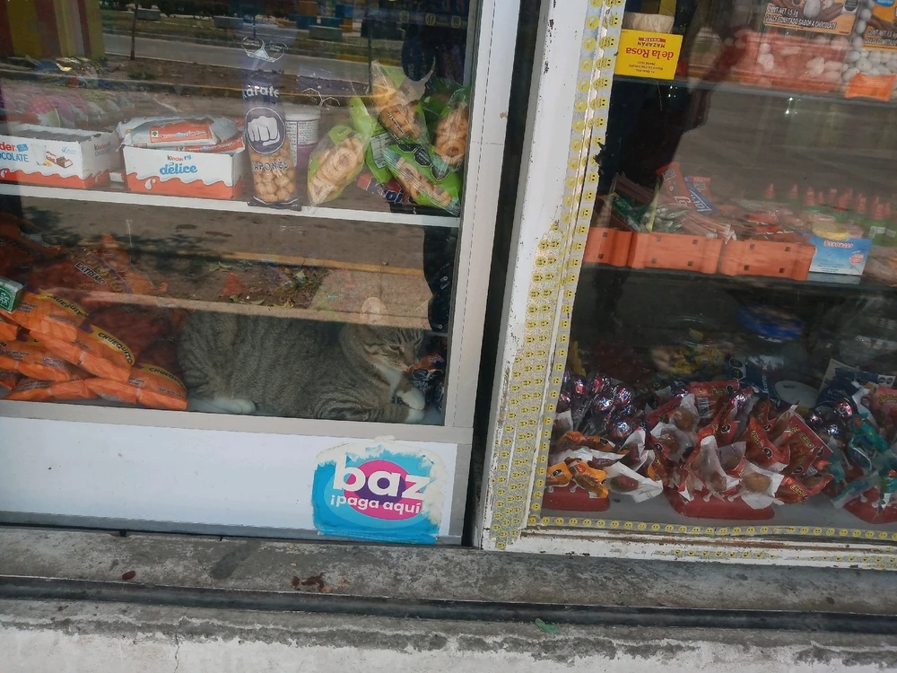 GIF subido por Isaac