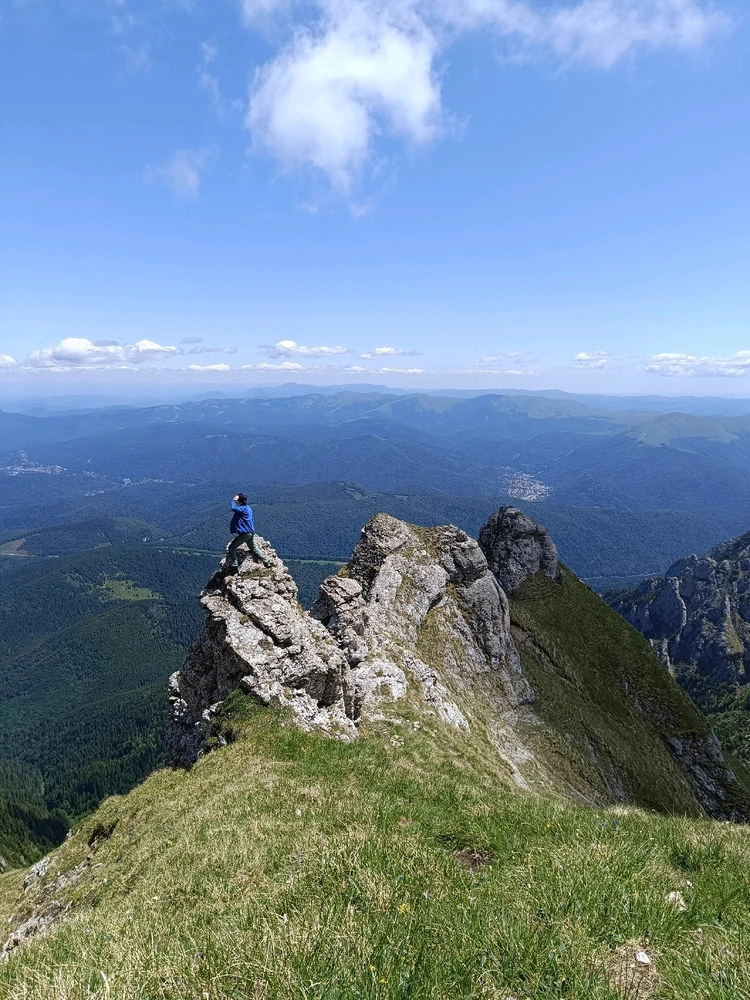 GIF încărcat de David