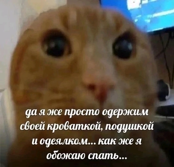 GIF загрузил Андрей