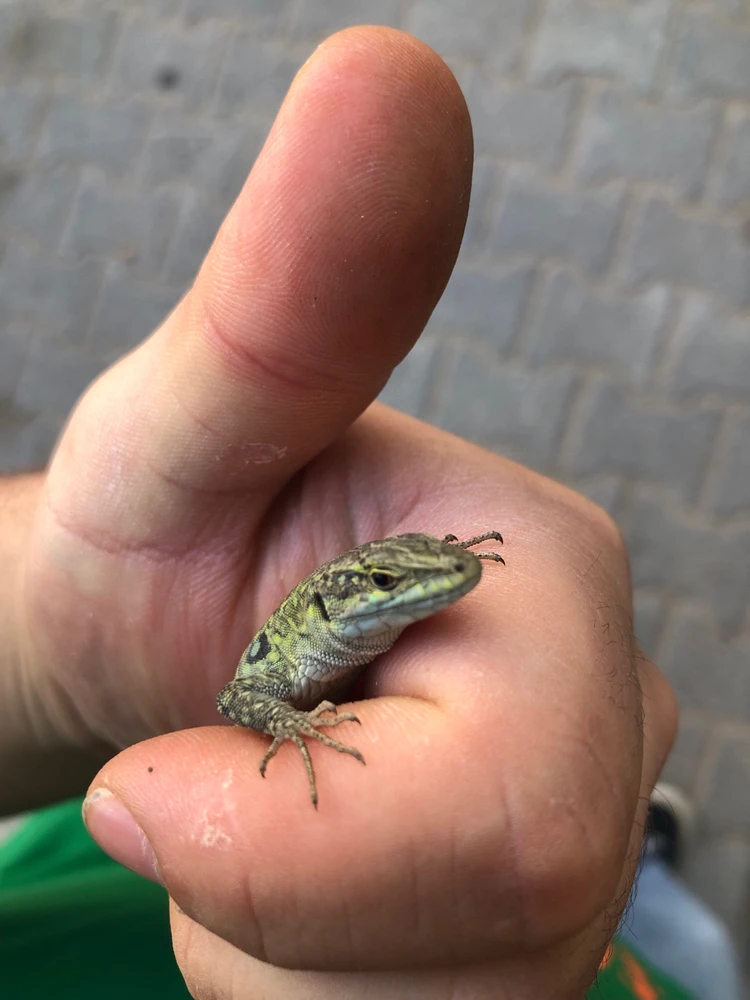 Ertugrul efe tarafından yüklenen GIF