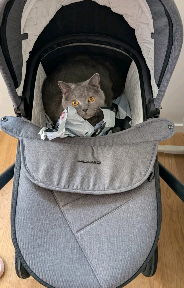 GIF dodany przez Dominik