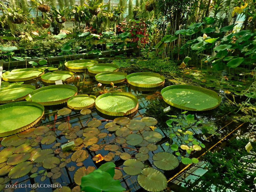 Zdjęcie dodane przez Czarna_Kosmitka