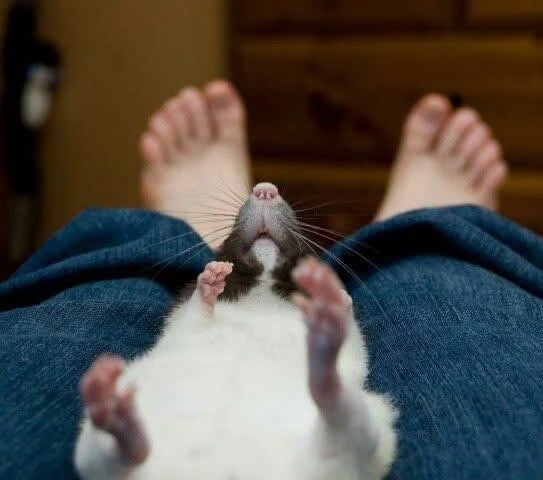 Image uploaded by Mike