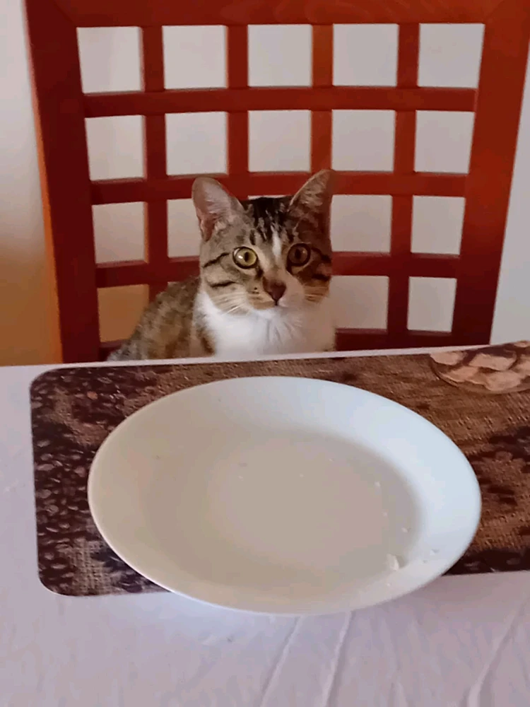 GIF otpremio/la Rade