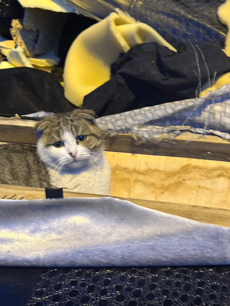 Berkant tarafından yüklenen GIF