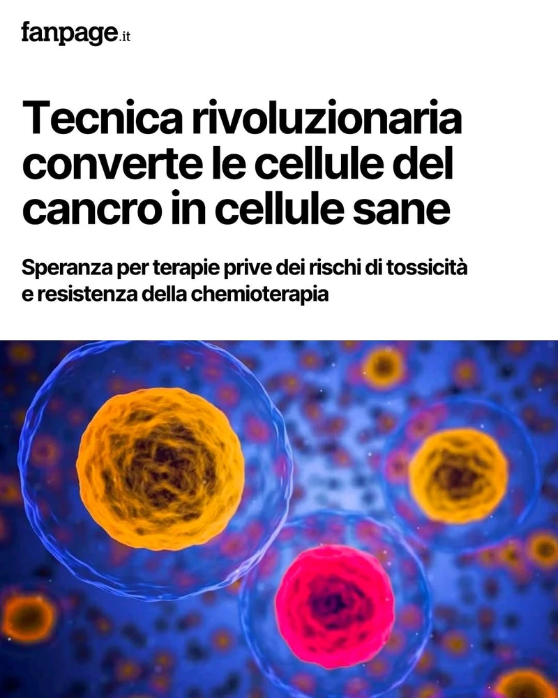 GIF caricata da Fabio