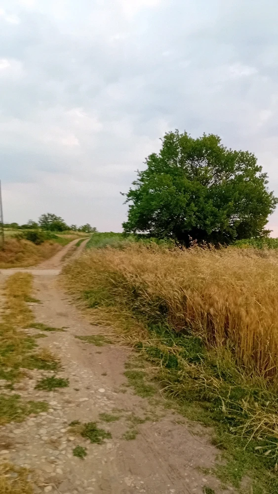 GIF încărcat de Francisc