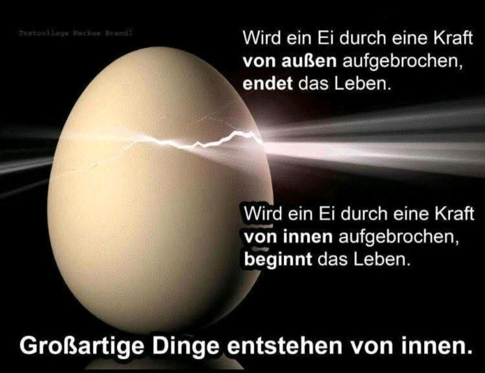 GIF hochgeladen von Theresa