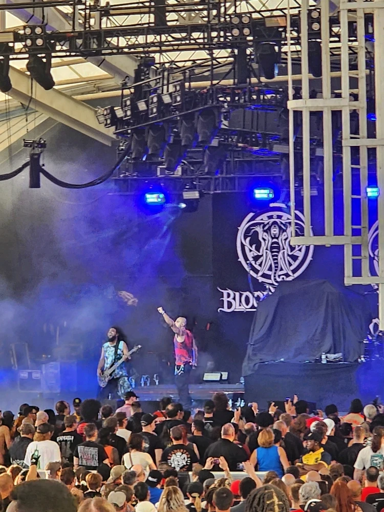 Image uploaded by Rafael