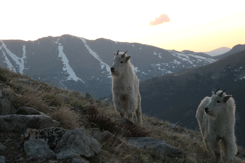 Image uploaded by Griffin