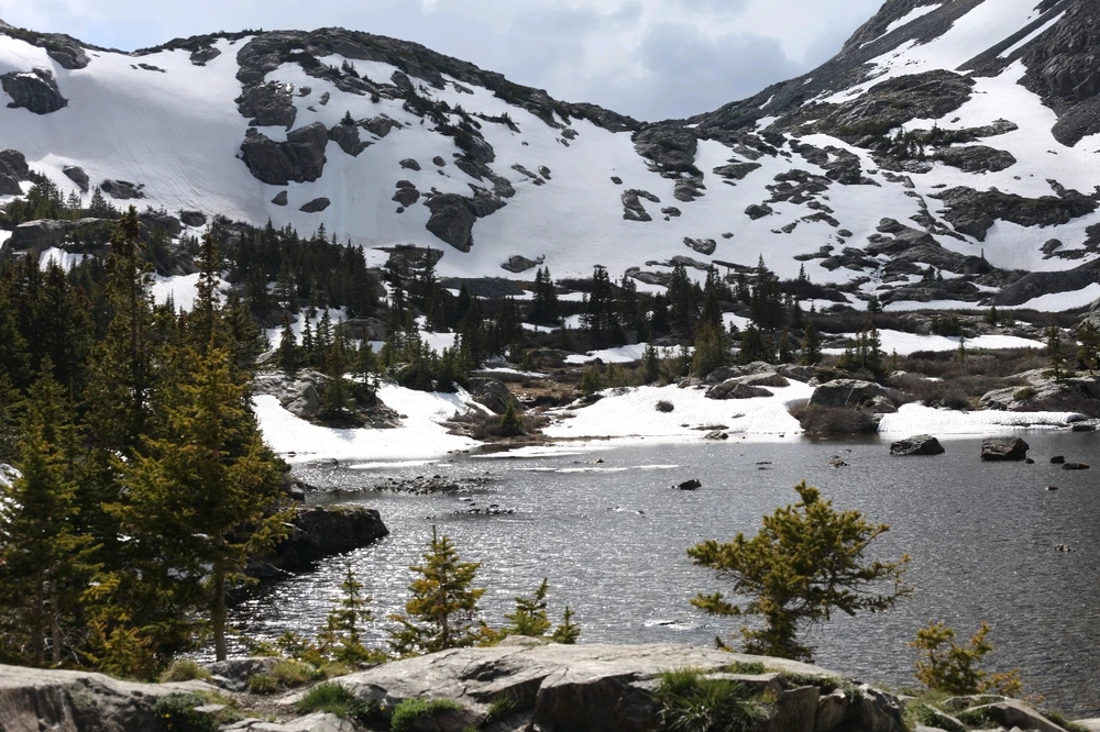 Image uploaded by Griffin