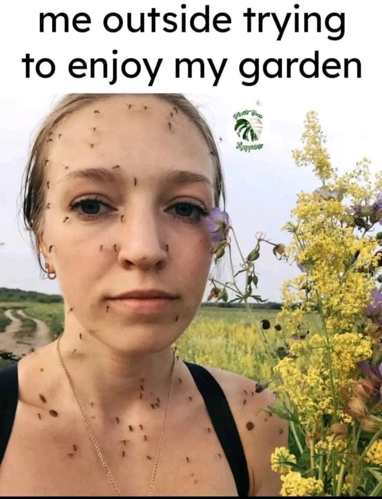 GIF uploaded by Eleanor