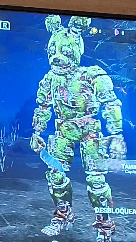 Imagem enviada por Pedro Gabriel(Bonnie para os íntimos)