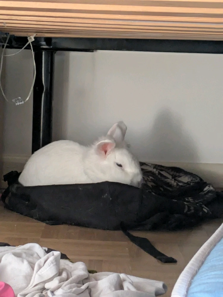 GIF uploaded by Kathi