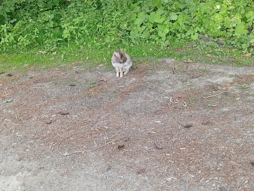 Bild hochgeladen von Jan
