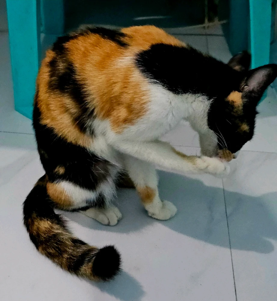 GIF uploaded by AJ