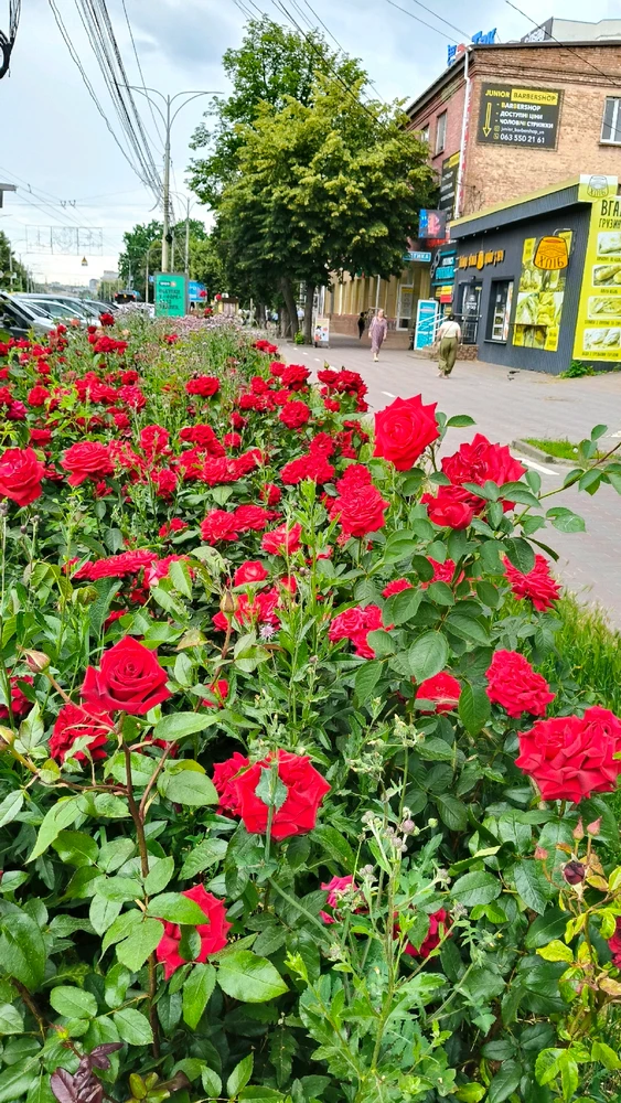 Гіфку завантажив Nata