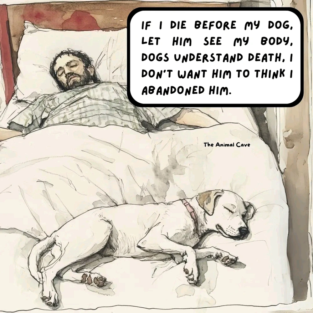 GIF otpremio/la Rade