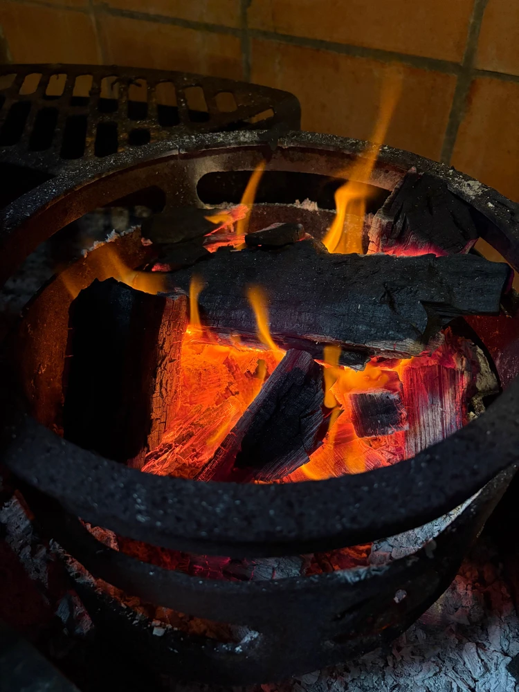 Fuego de asado