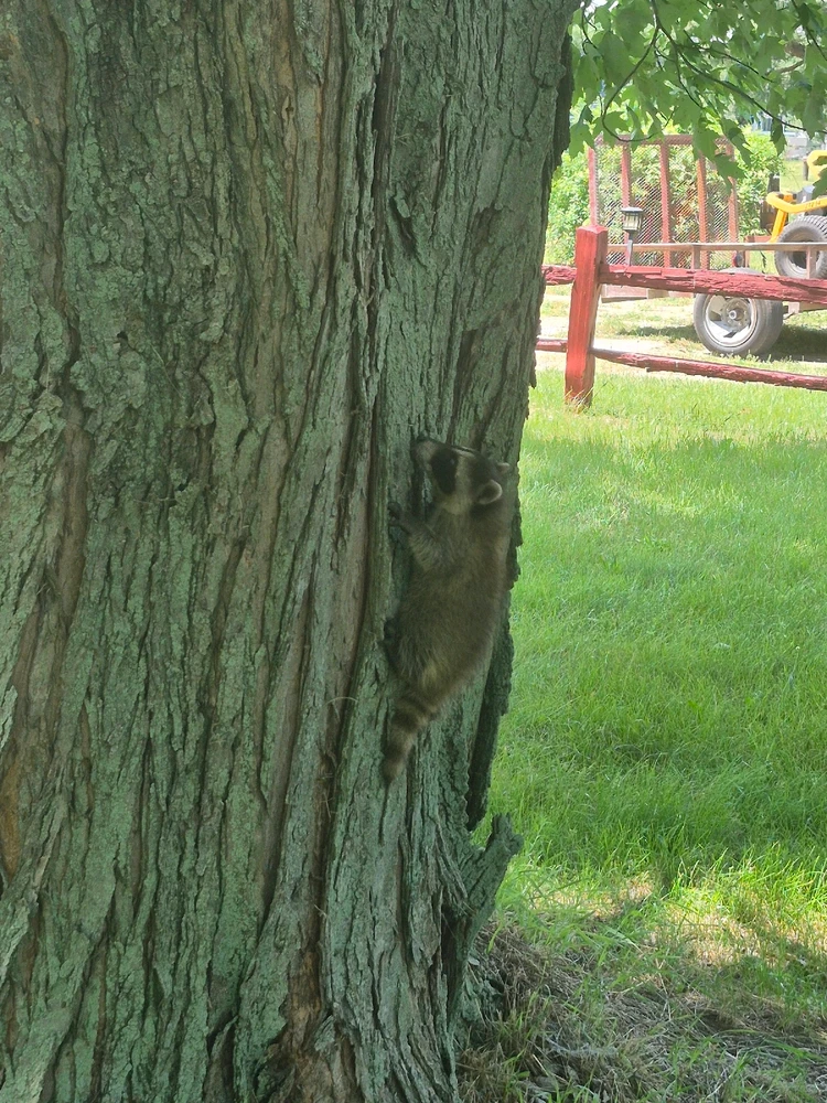 Image uploaded by Devin