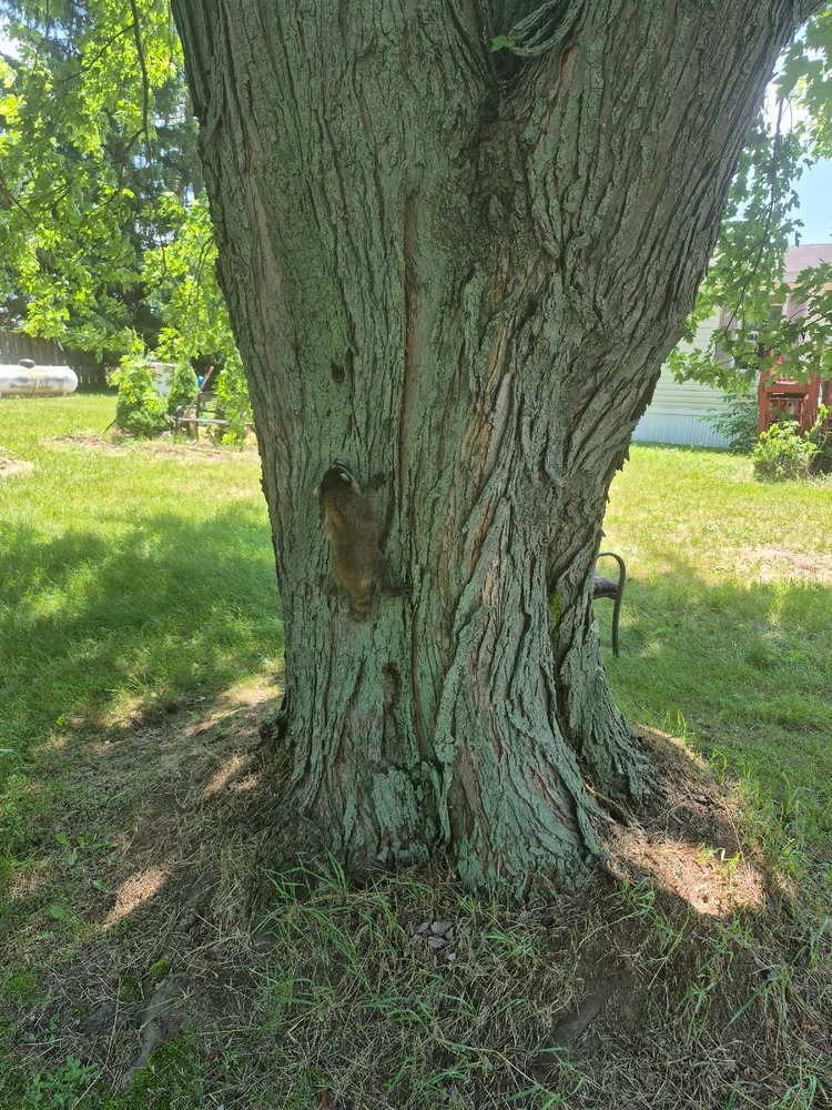 Image uploaded by Devin