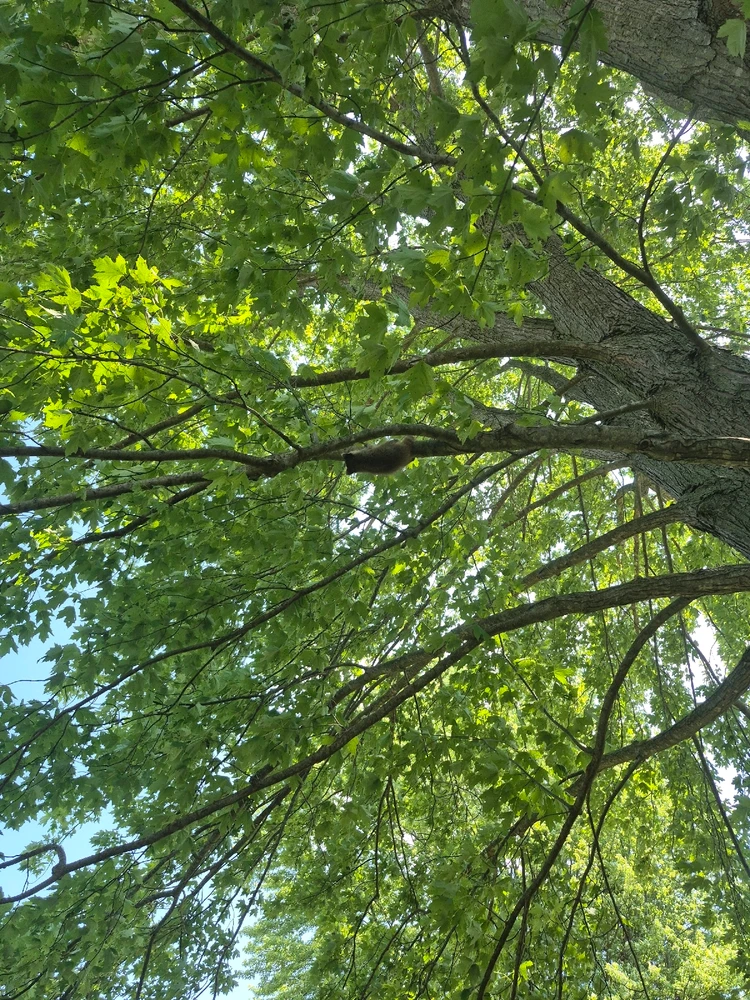 Image uploaded by Devin