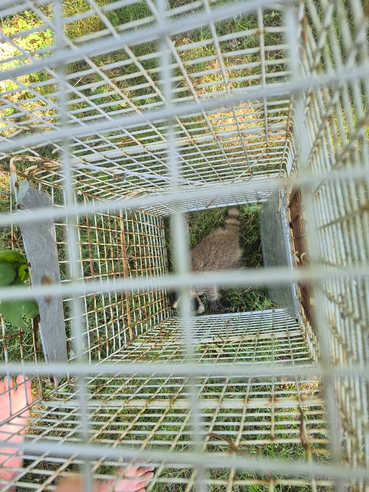 Image uploaded by Devin