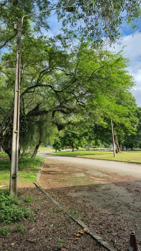 GIF enviado por Maria Bia