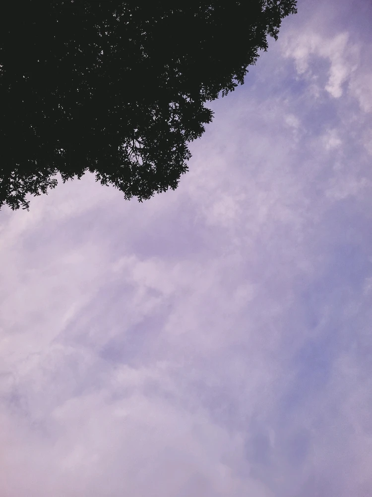 Imagem enviada por Matheus Santana Rachid