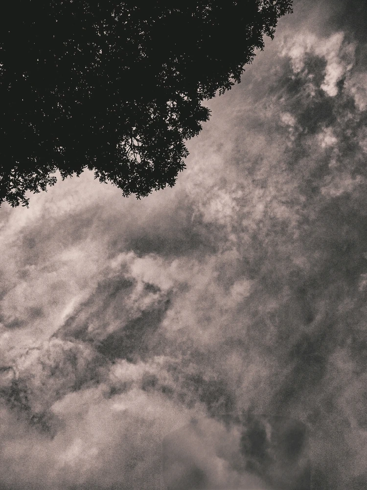 Imagem enviada por Matheus Santana Rachid