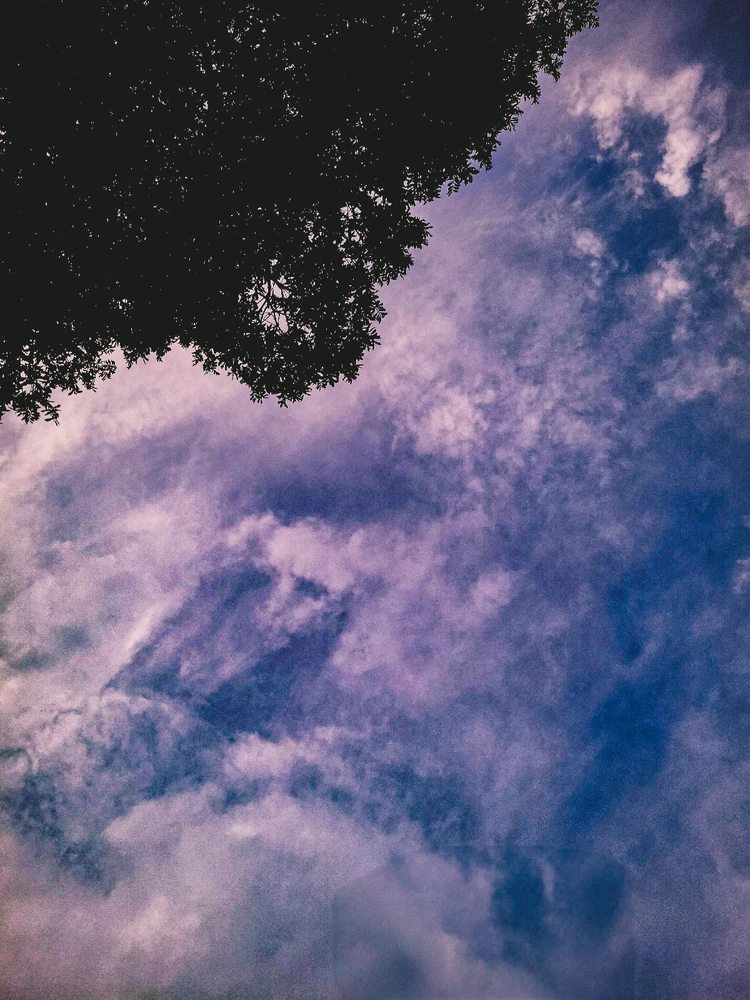 Imagem enviada por Matheus Santana Rachid