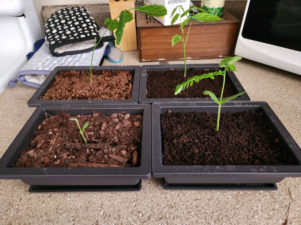 GIF diunggah dening Cj