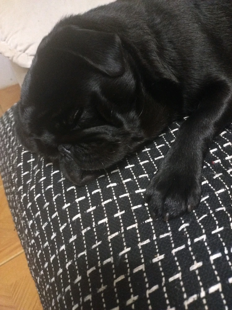 GIF enviado por Caroline