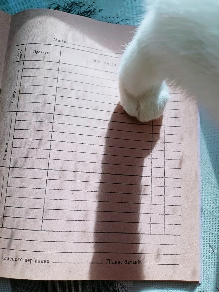 Фото загрузил Anna