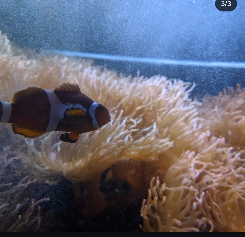 GIF subido por José