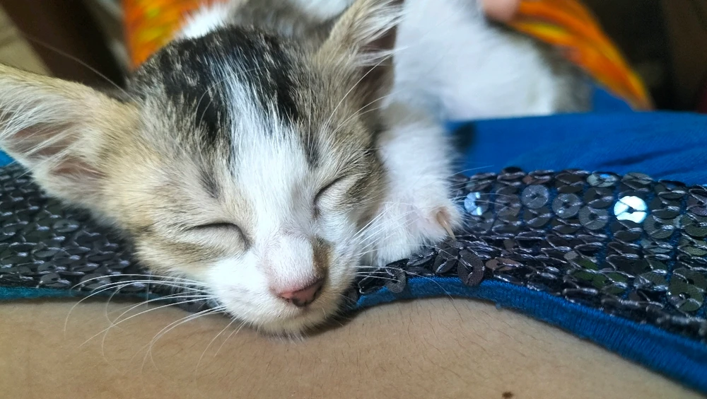 Image uploaded by Marini