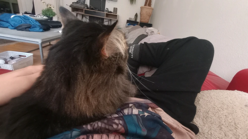 GIF uploaded by Jasper