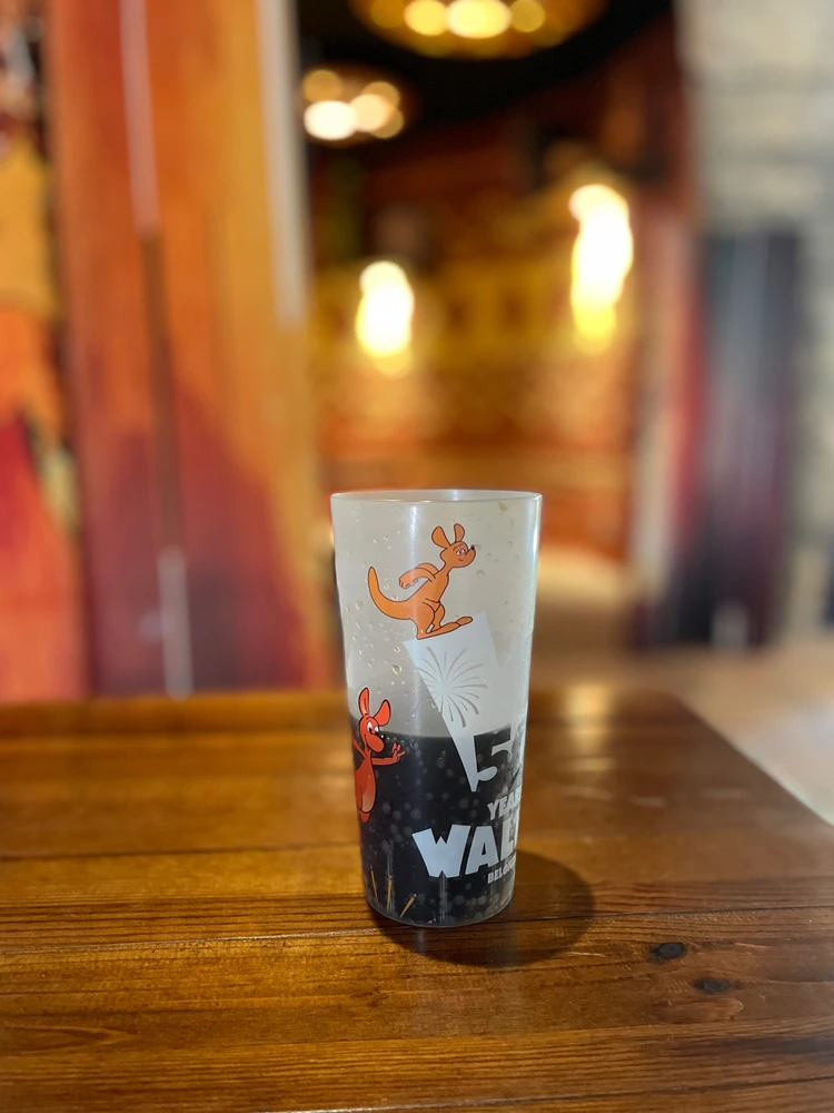 Alleen naar een pretpark 😱