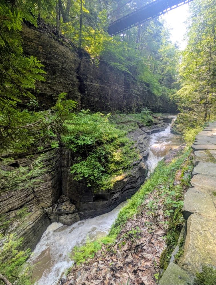 GIF uploaded by Melissa