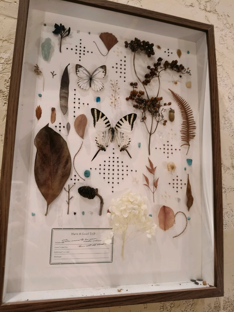 Ảnh do Fishh tải lên