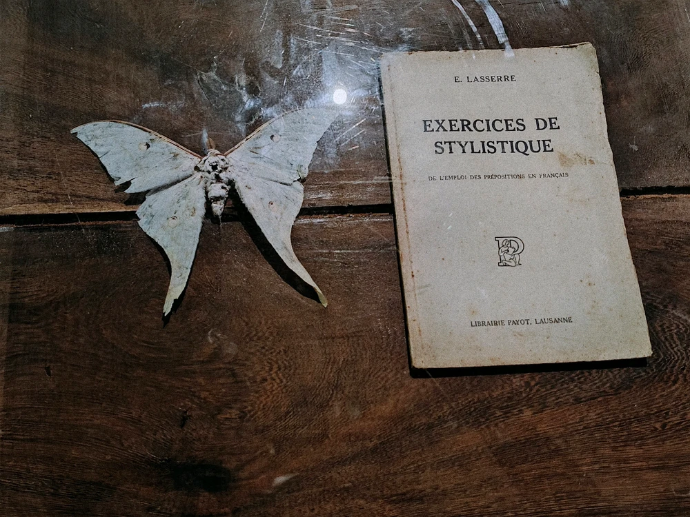 Ảnh do Fishh tải lên