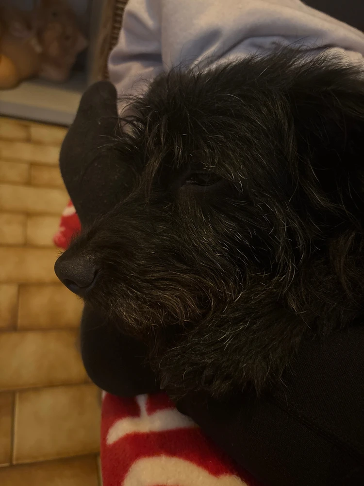 GIF uploaded by Beatriz