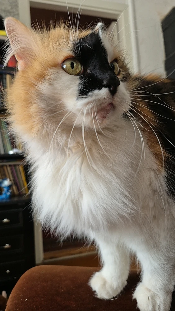 GIF üles laaditud kasutajalt Andero