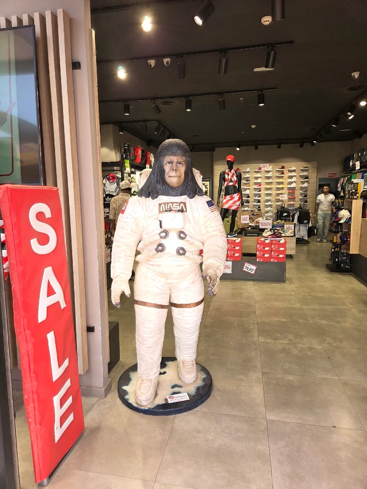 GIF uploaded by User