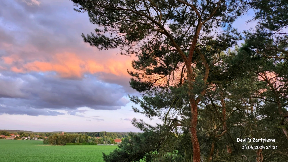 Bild hochgeladen von Devil