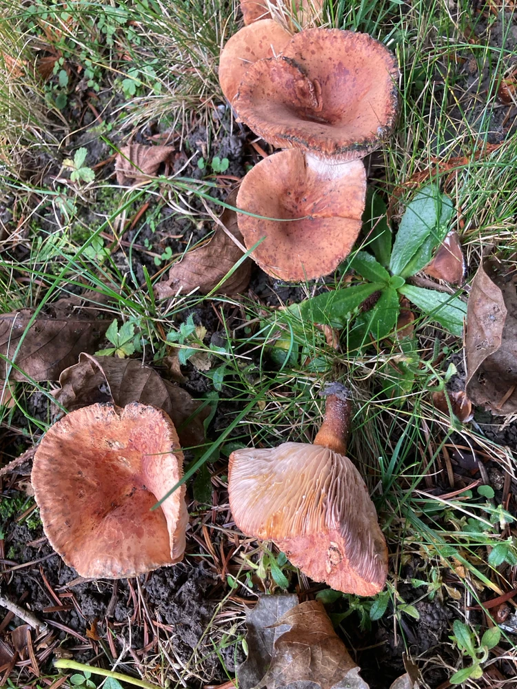 GIF ajouté par Loane