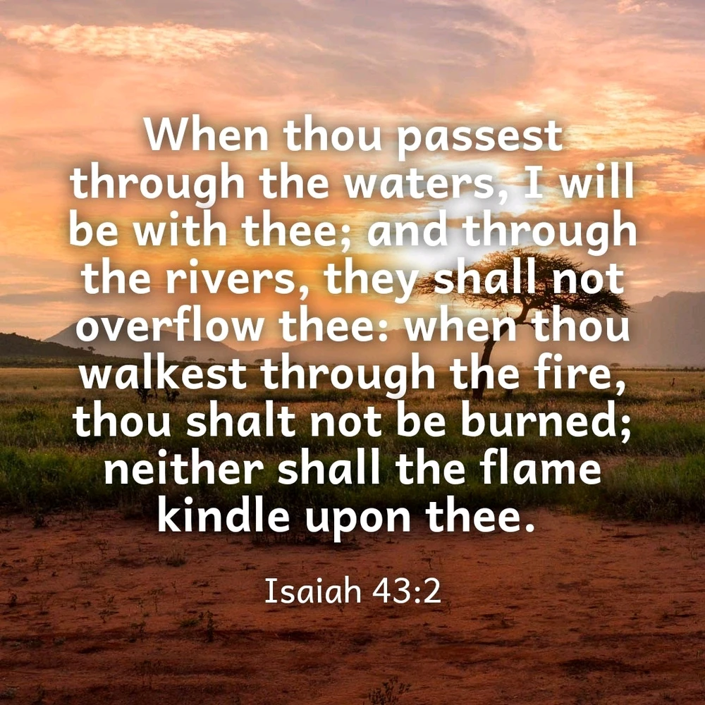 GIF uploaded by Larry