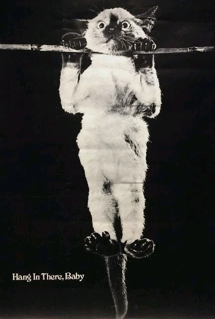 GIF uploaded by Mouse