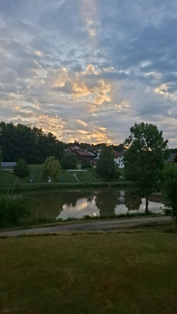 GIF hochgeladen von Theresa