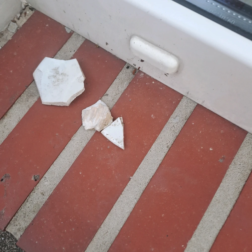 Bild hochgeladen von Sarah